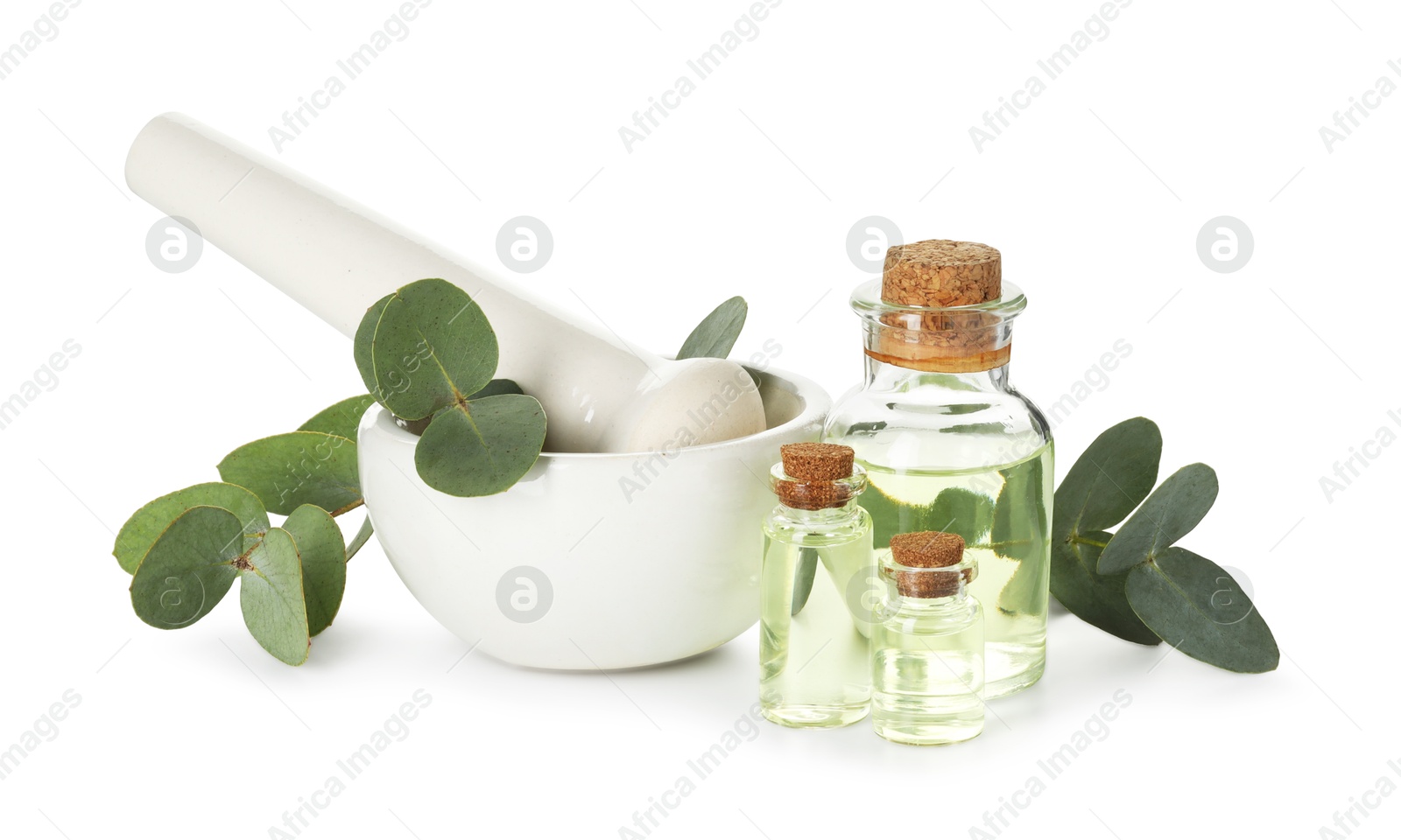 Bottles of essential oil, eucalyptus leaves, mortar and pestle isolated on white Photo of Bottles of essential oil, eucalyptus leaves, mortar and pestle isolated on white