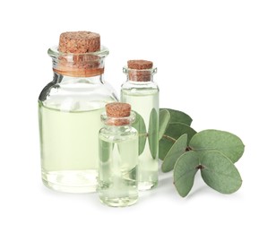 Photo of Bottles of essential oil and eucalyptus leaves isolated on white