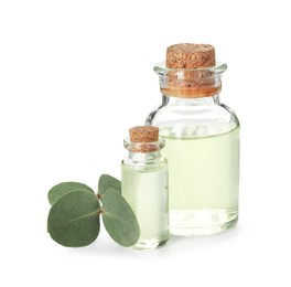 Photo of Bottles of essential oil and eucalyptus leaves isolated on white