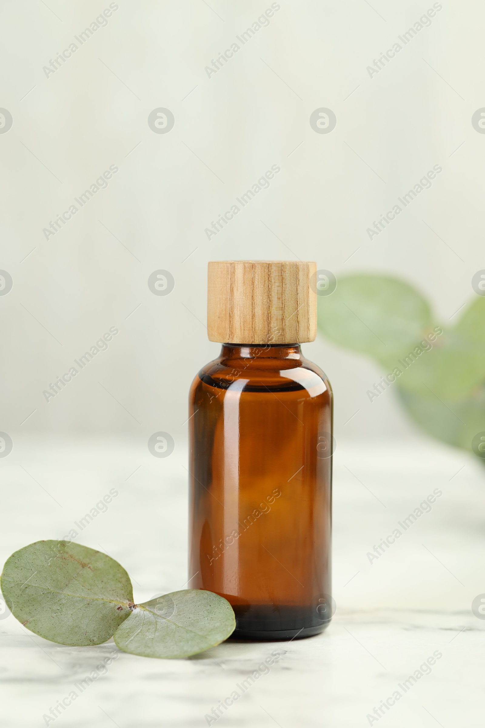 Bottle of essential oil and eucalyptus leaves on white marble table, closeup Photo of Bottle of essential oil and eucalyptus leaves on white marble table, closeup