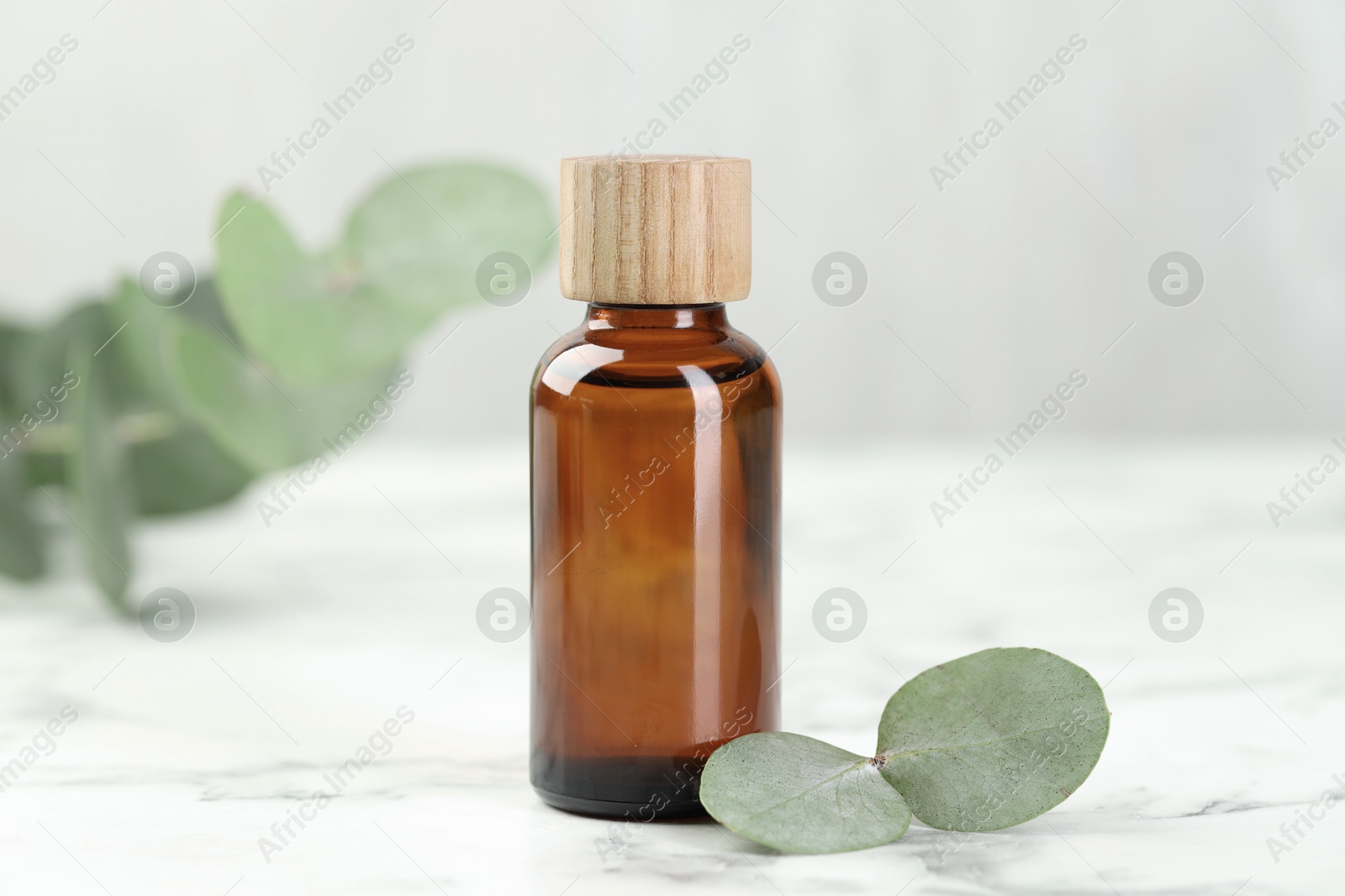 Bottle of essential oil and eucalyptus leaves on white marble table, closeup Photo of Bottle of essential oil and eucalyptus leaves on white marble table, closeup