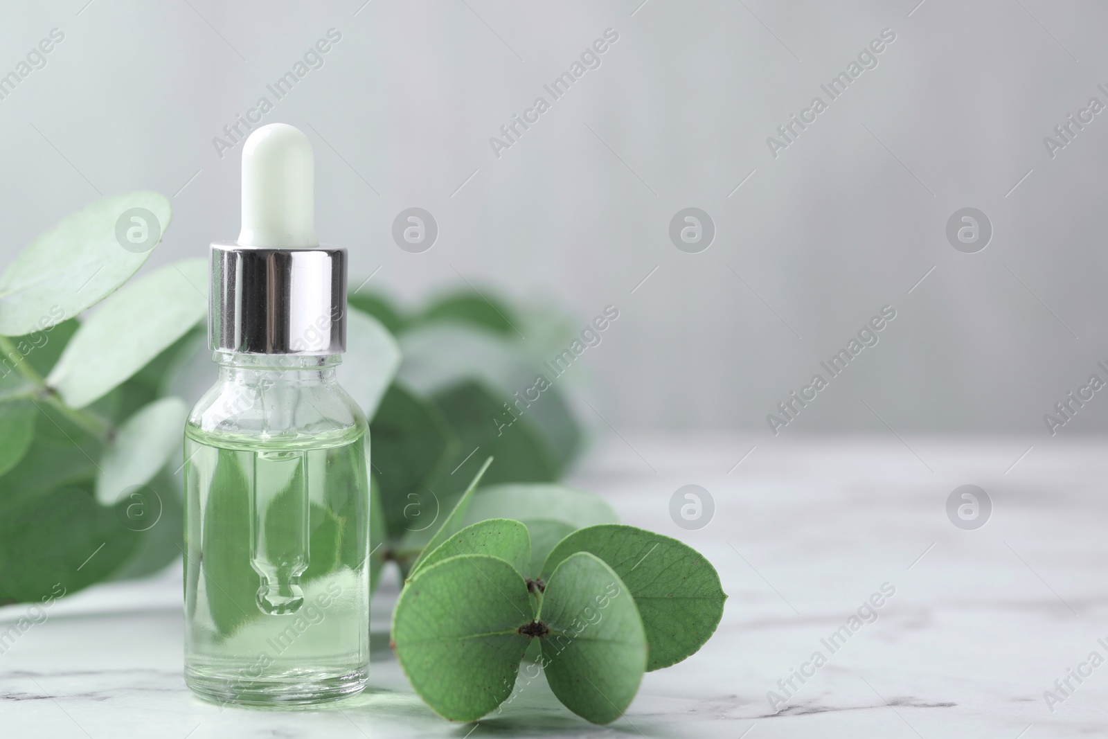 Bottle of essential oil and eucalyptus leaves on white marble table, closeup. Space for text Photo of Bottle of essential oil and eucalyptus leaves on white marble table, closeup. Space for text