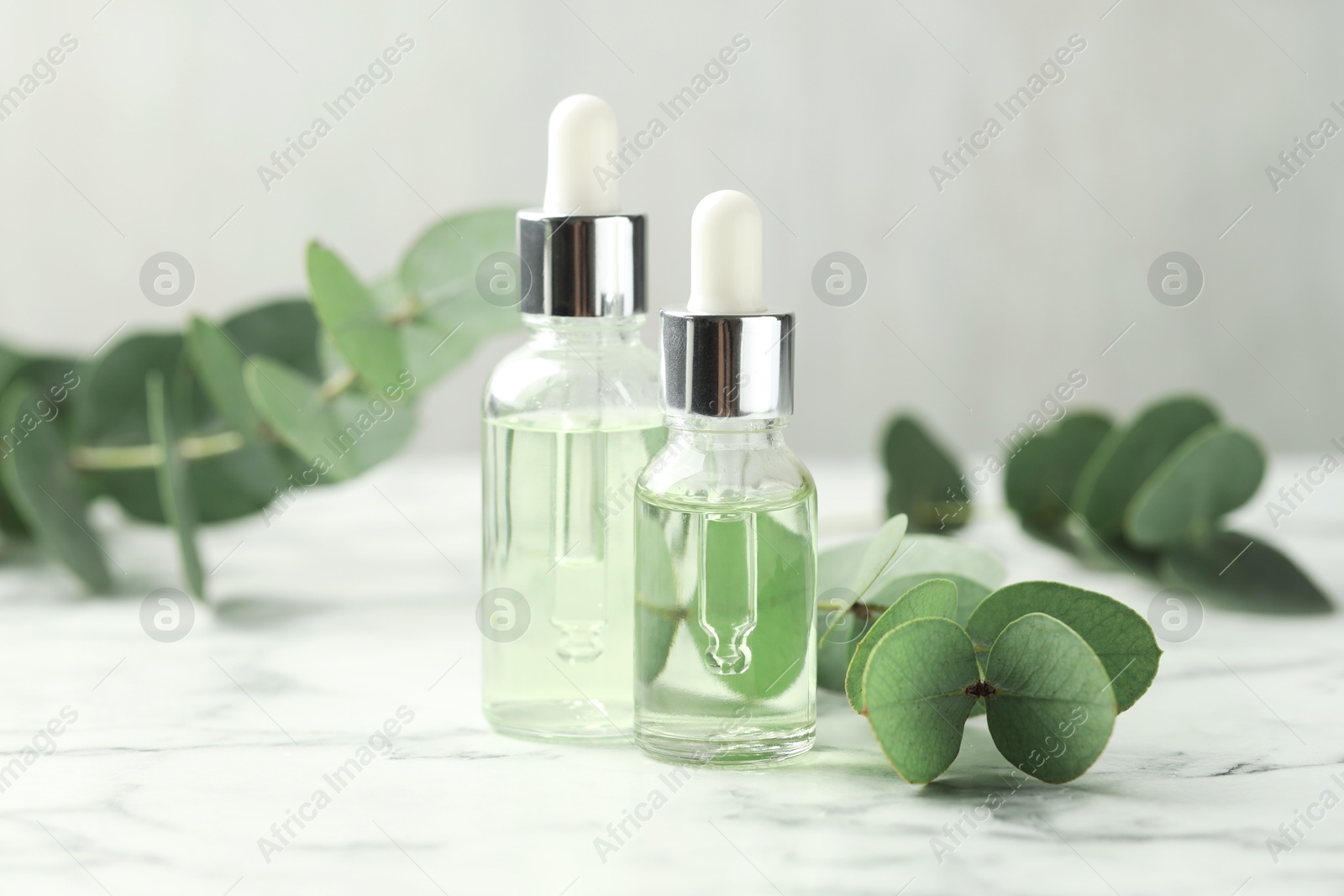 Bottles of essential oil and eucalyptus leaves on white marble table Photo of Bottles of essential oil and eucalyptus leaves on white marble table