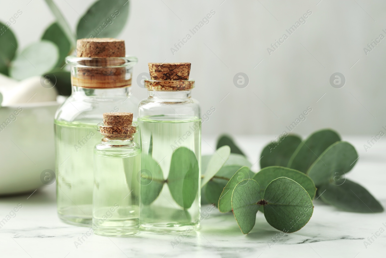 Bottles of essential oil and eucalyptus leaves on white marble table, closeup Photo of Bottles of essential oil and eucalyptus leaves on white marble table, closeup