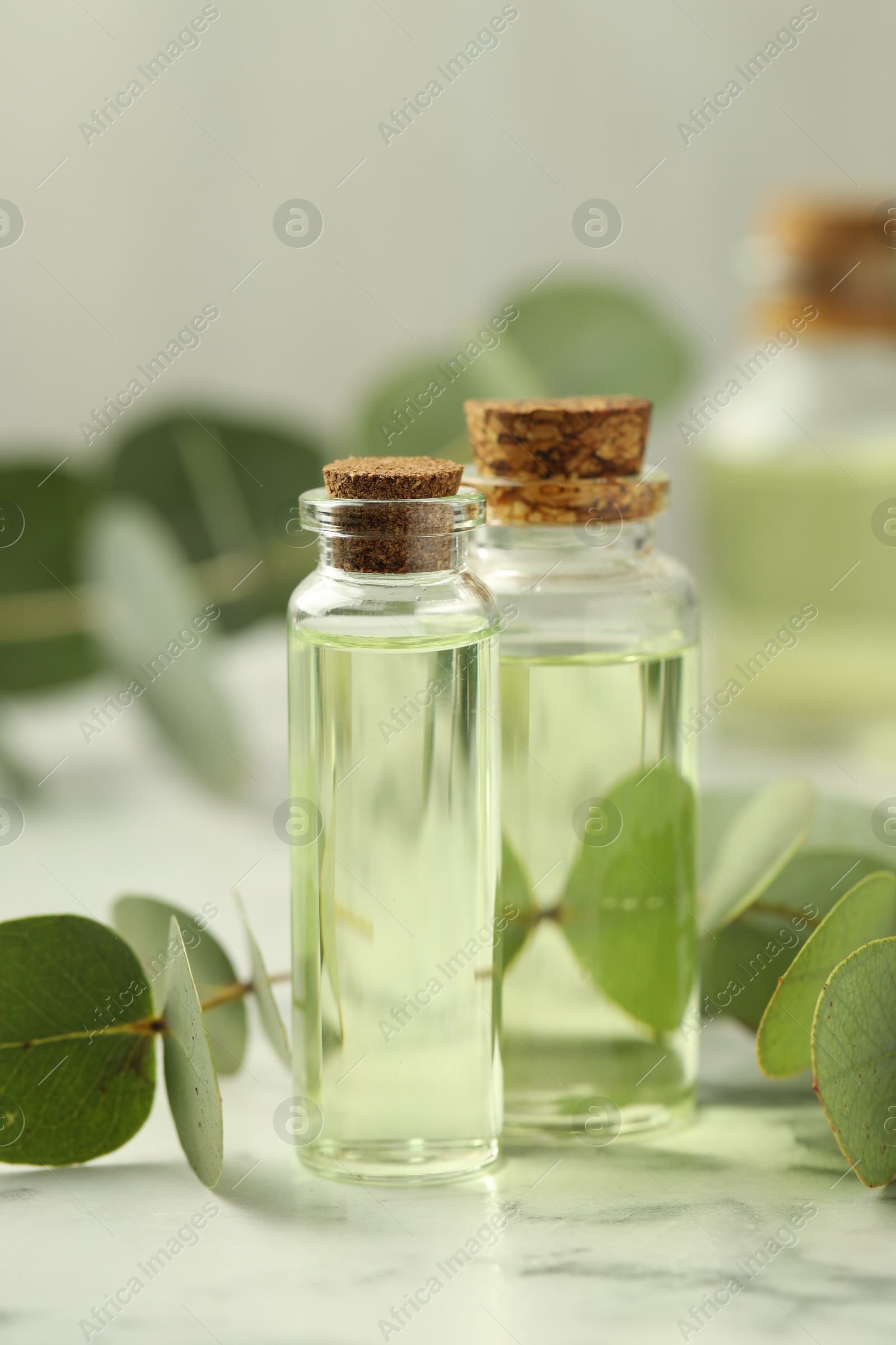 Bottles of essential oil and eucalyptus leaves on white marble table, closeup Photo of Bottles of essential oil and eucalyptus leaves on white marble table, closeup