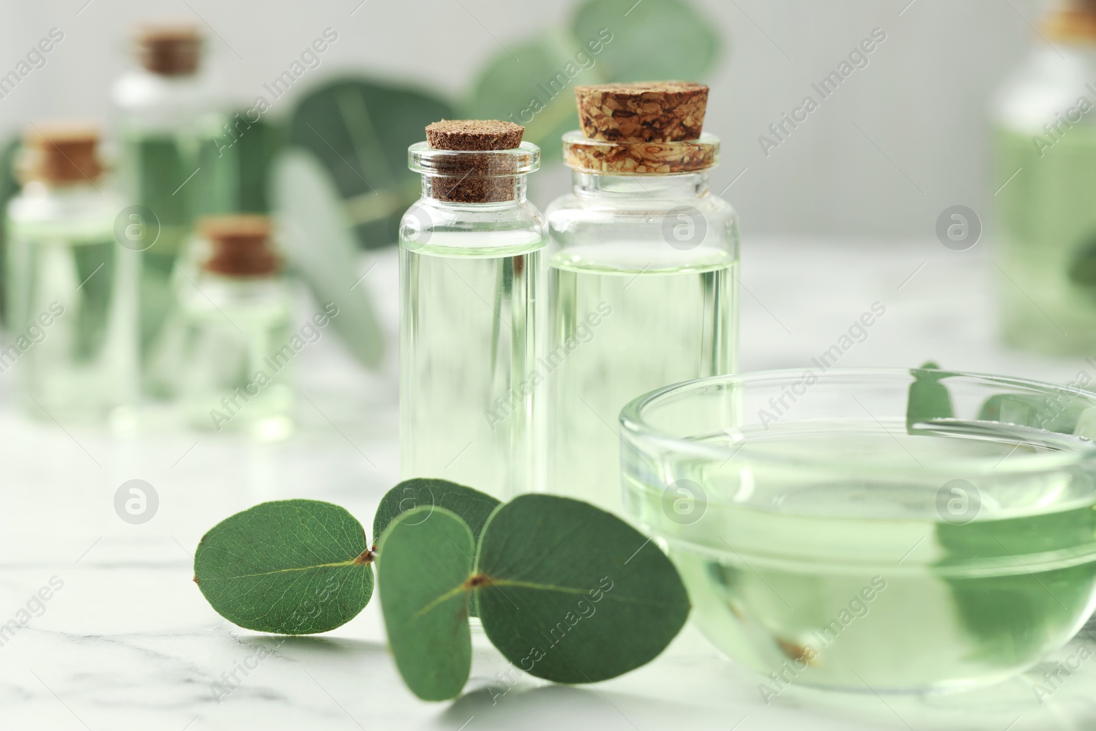 Bottles of essential oil, bowl and eucalyptus leaves on white marble table, closeup Photo of Bottles of essential oil, bowl and eucalyptus leaves on white marble table, closeup