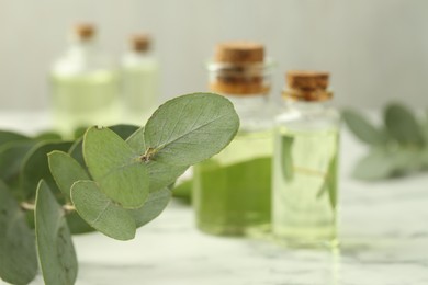 Photo of Bottles of essential oil and eucalyptus leaves on white marble table, selective focus