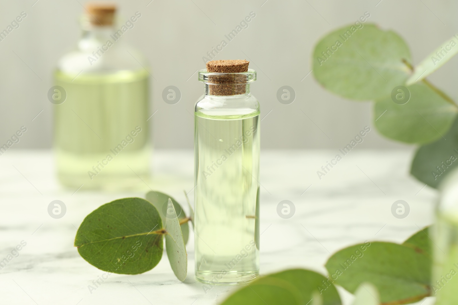 Bottle of essential oil and eucalyptus leaves on white marble table, closeup Photo of Bottle of essential oil and eucalyptus leaves on white marble table, closeup