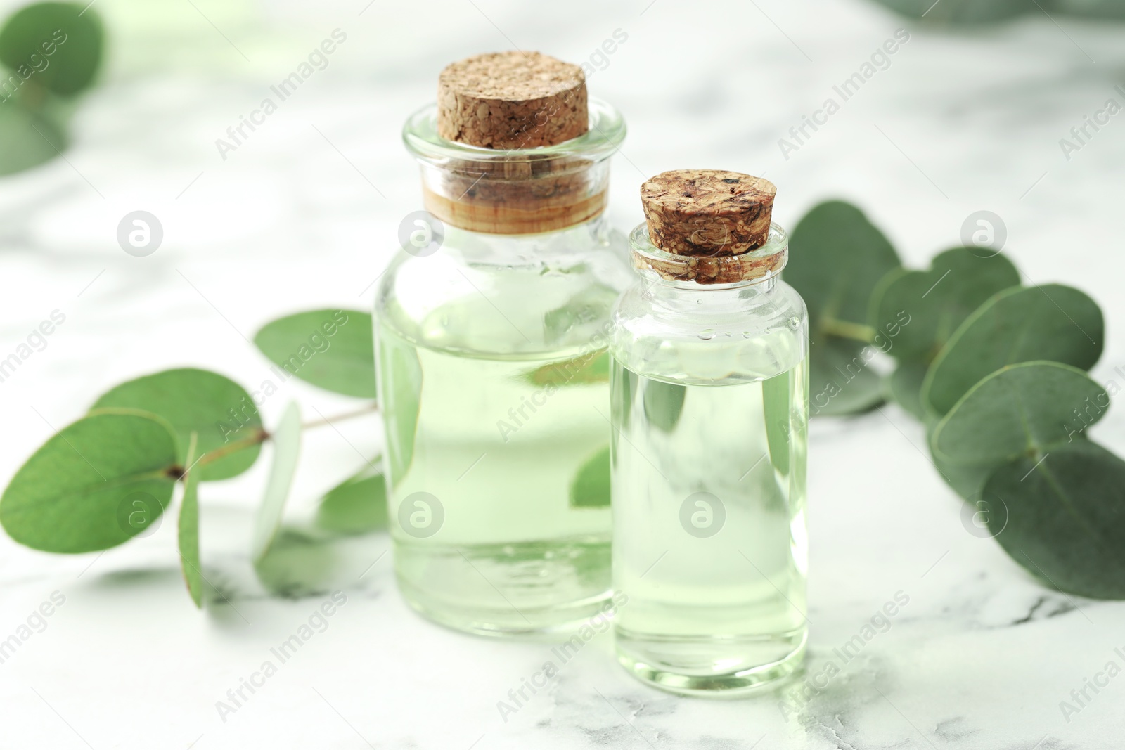 Bottles of essential oil and eucalyptus leaves on white marble table, closeup Photo of Bottles of essential oil and eucalyptus leaves on white marble table, closeup