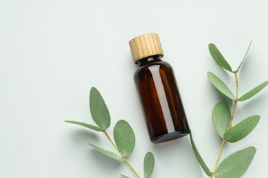 Photo of Bottle of essential oil and eucalyptus leaves on white background, flat lay. Space for text
