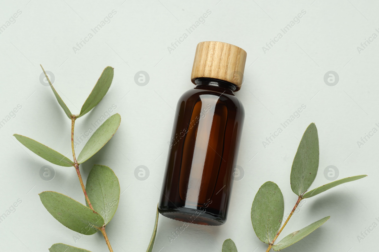 Bottle of essential oil and eucalyptus leaves on white background, flat lay Photo of Bottle of essential oil and eucalyptus leaves on white background, flat lay