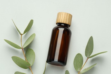 Photo of Bottle of essential oil and eucalyptus leaves on white background, flat lay