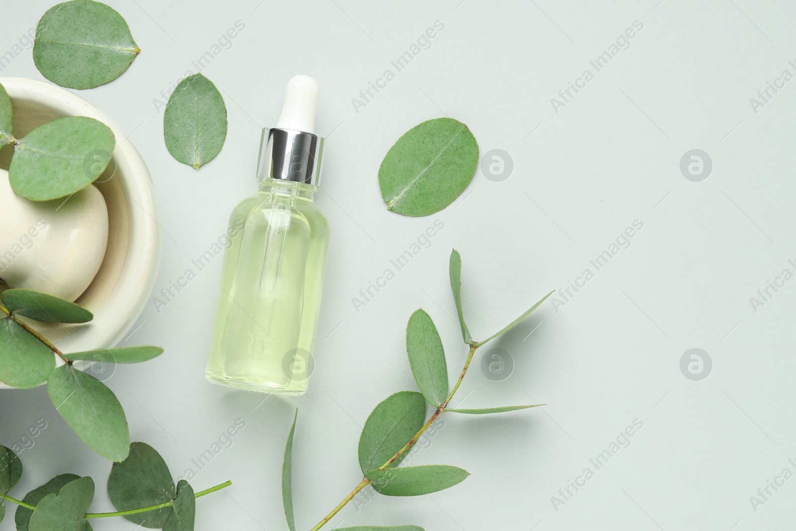 Bottle of essential oil, eucalyptus leaves, mortar and pestle on white background, flat lay. Space for text Photo of Bottle of essential oil, eucalyptus leaves, mortar and pestle on white background, flat lay. Space for text