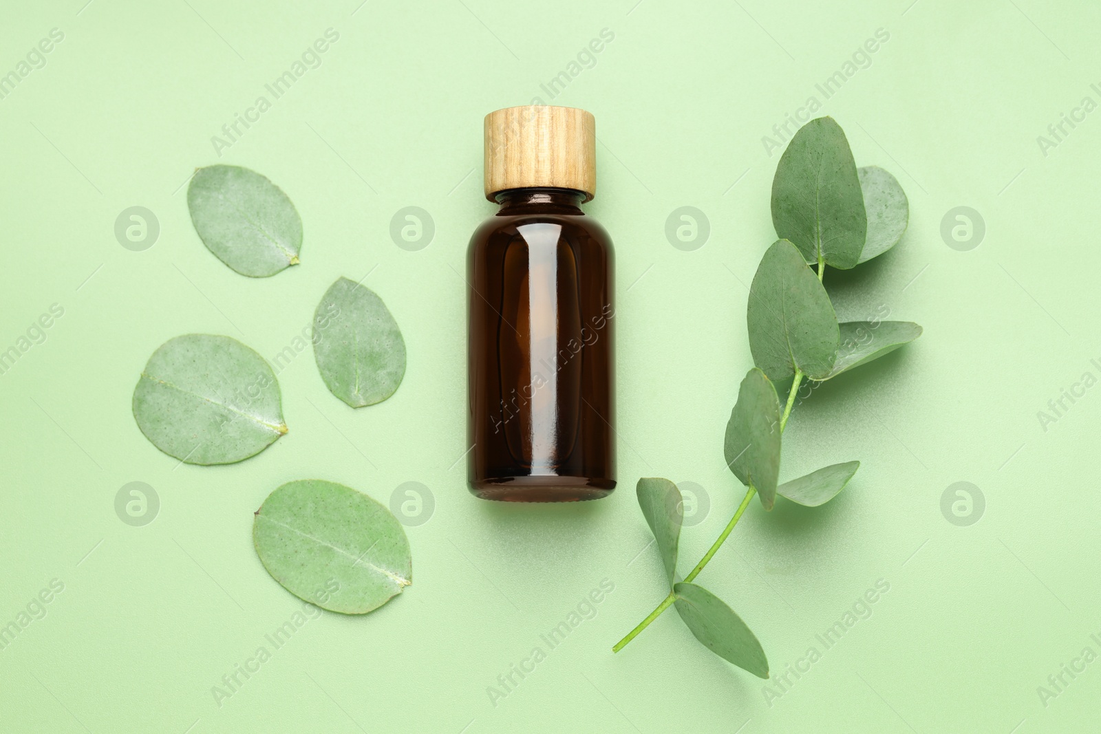 Bottle of essential oil and eucalyptus leaves on green background, flat lay Photo of Bottle of essential oil and eucalyptus leaves on green background, flat lay