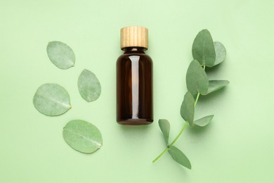 Photo of Bottle of essential oil and eucalyptus leaves on green background, flat lay