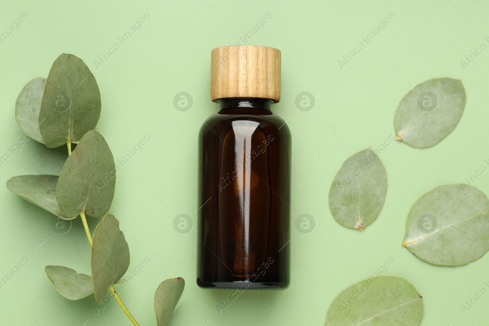 Bottle of essential oil and eucalyptus leaves on green background, flat lay Photo of Bottle of essential oil and eucalyptus leaves on green background, flat lay