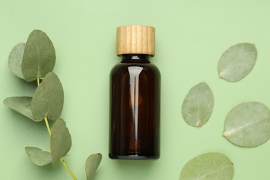 Photo of Bottle of essential oil and eucalyptus leaves on green background, flat lay