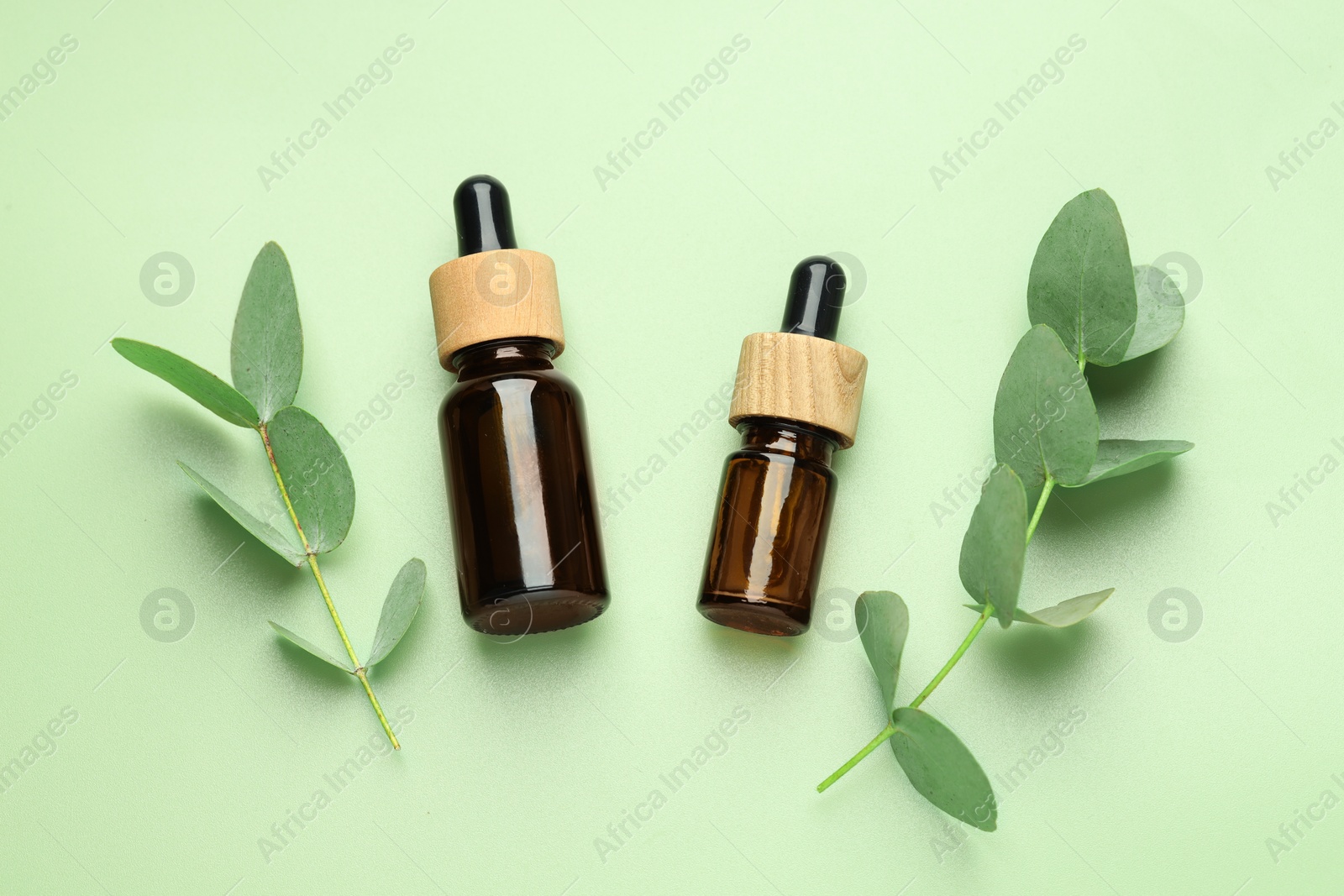Bottles of essential oil and eucalyptus leaves on green background, flat lay Photo of Bottles of essential oil and eucalyptus leaves on green background, flat lay