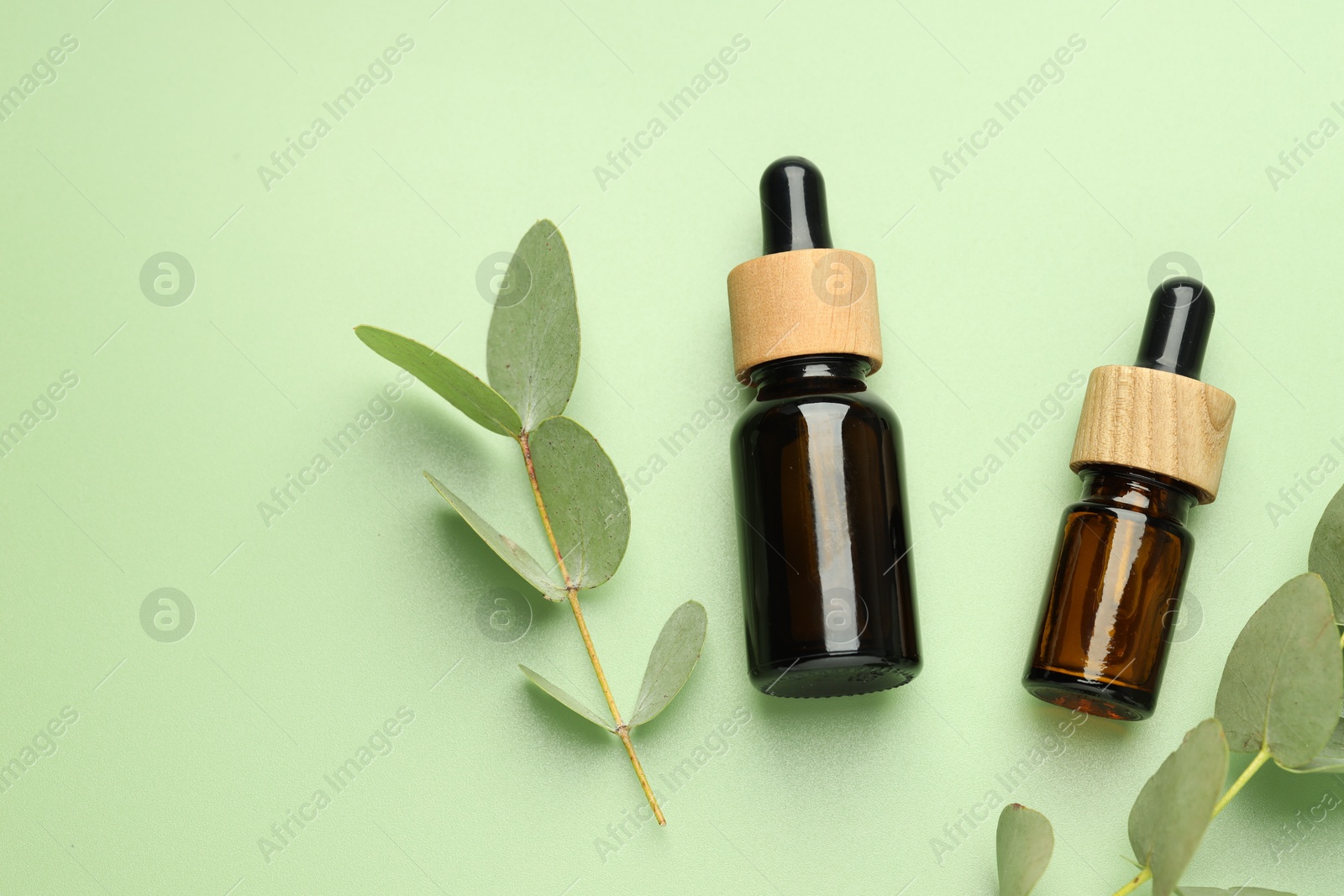 Bottles of essential oil and eucalyptus leaves on green background, flat lay. Space for text Photo of Bottles of essential oil and eucalyptus leaves on green background, flat lay. Space for text