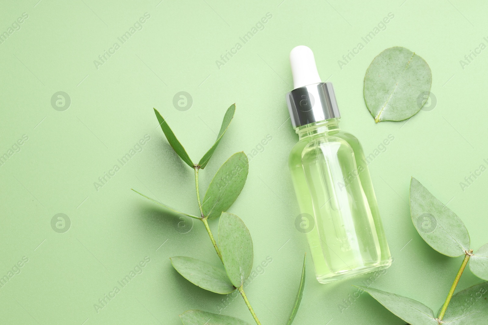 Bottle of essential oil and eucalyptus leaves on green background, flat lay. Space for text Photo of Bottle of essential oil and eucalyptus leaves on green background, flat lay. Space for text