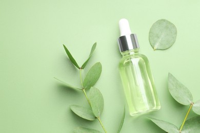 Photo of Bottle of essential oil and eucalyptus leaves on green background, flat lay. Space for text