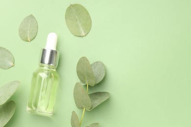 Photo of Bottle of essential oil and eucalyptus leaves on green background, flat lay. Space for text