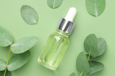 Photo of Bottle of essential oil and eucalyptus leaves on green background, flat lay