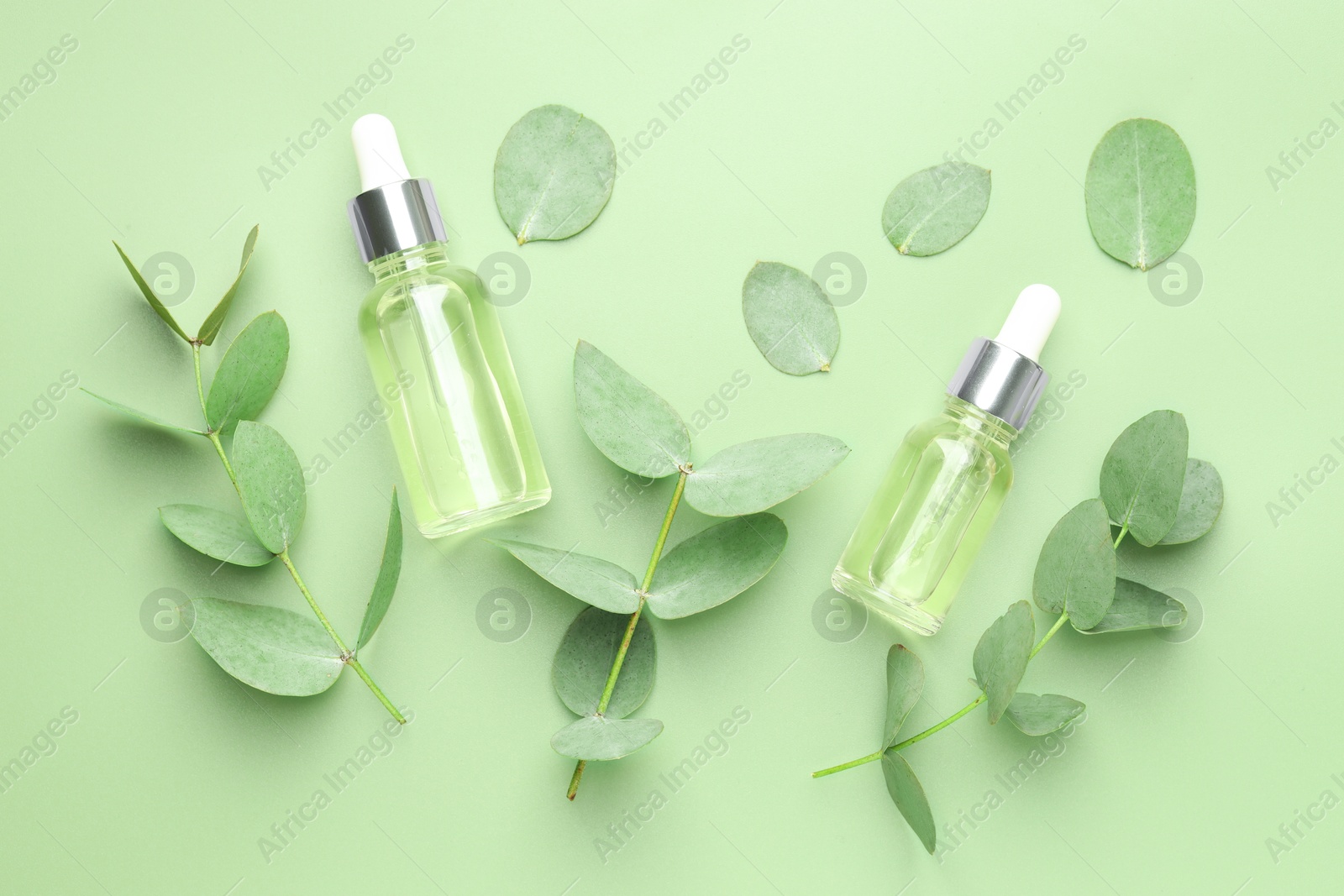 Bottles of essential oil and eucalyptus leaves on green background, flat lay Photo of Bottles of essential oil and eucalyptus leaves on green background, flat lay