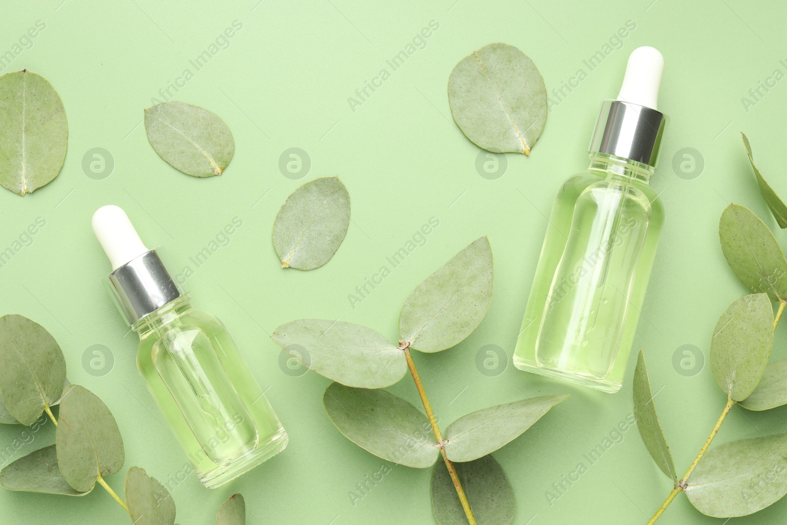 Bottles of essential oil and eucalyptus leaves on green background, flat lay Photo of Bottles of essential oil and eucalyptus leaves on green background, flat lay