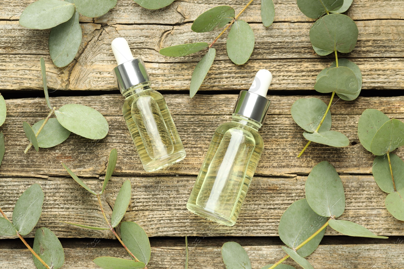Bottles of essential oil and eucalyptus leaves on wooden table, flat lay Photo of Bottles of essential oil and eucalyptus leaves on wooden table, flat lay