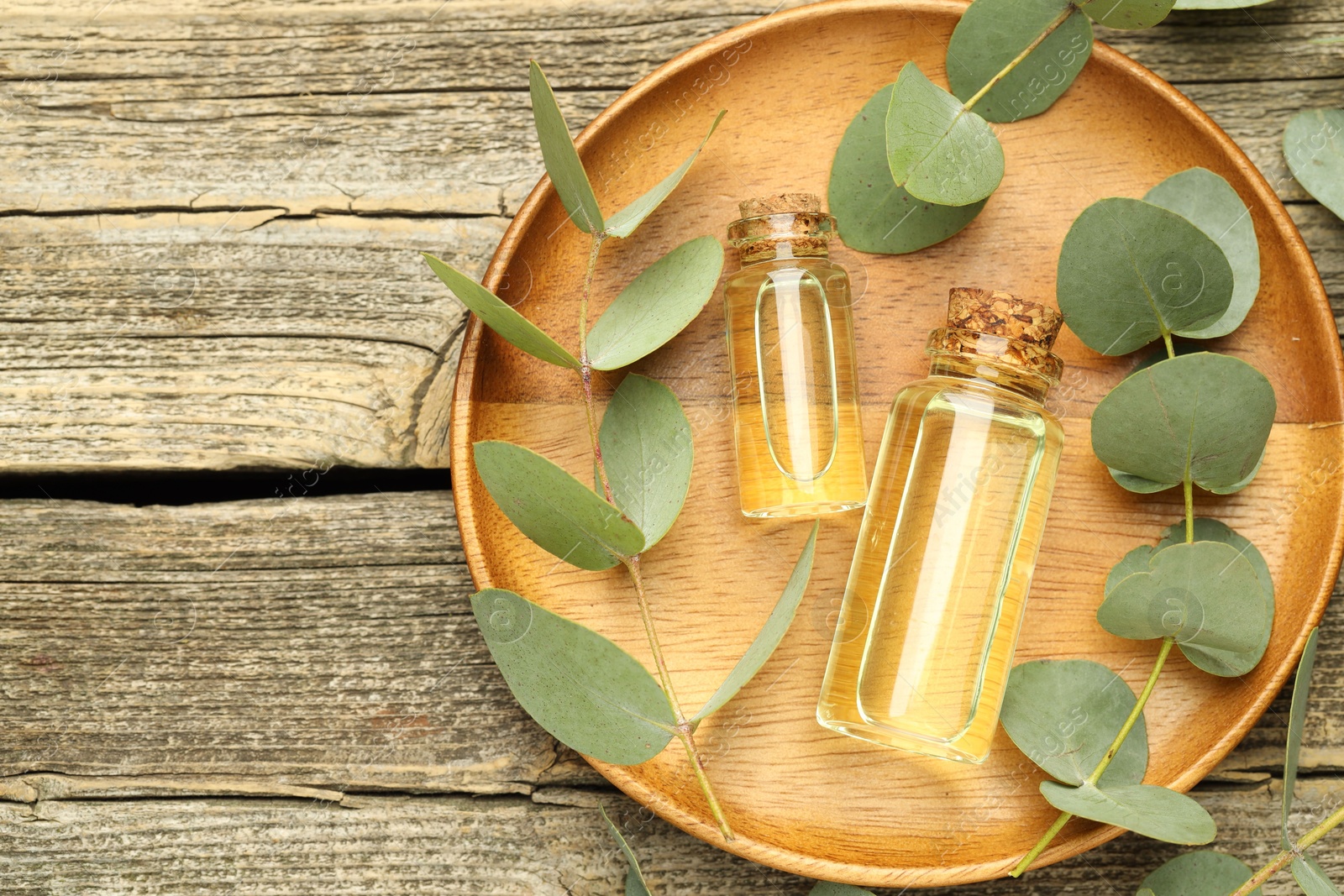 Bottles of essential oil and eucalyptus leaves on wooden table, flat lay. Space for text Photo of Bottles of essential oil and eucalyptus leaves on wooden table, flat lay. Space for text