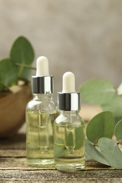 Photo of Bottles of essential oil and eucalyptus leaves on wooden table, closeup
