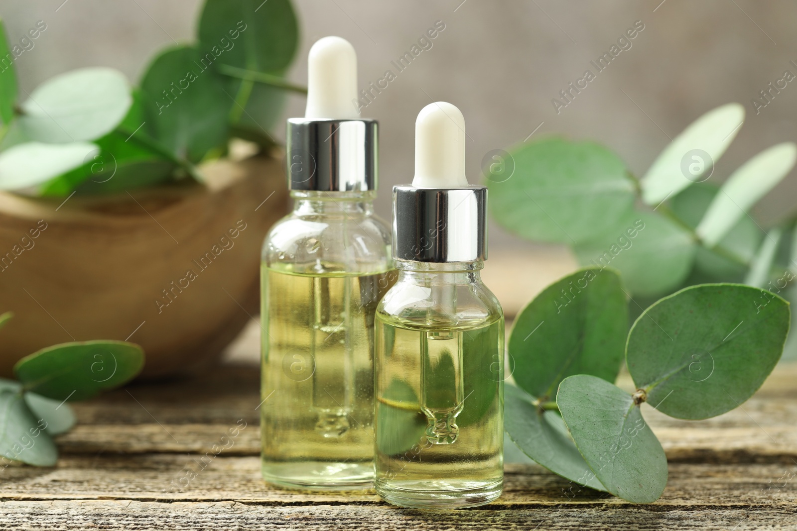 Bottles of essential oil and eucalyptus leaves on wooden table, closeup Photo of Bottles of essential oil and eucalyptus leaves on wooden table, closeup