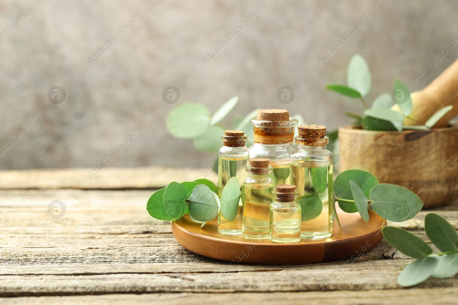 Bottles of essential oil, eucalyptus leaves, mortar and pestle on wooden table, space for text Photo of Bottles of essential oil, eucalyptus leaves, mortar and pestle on wooden table, space for text