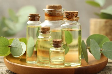 Photo of Bottles of essential oil and eucalyptus leaves on table, closeup