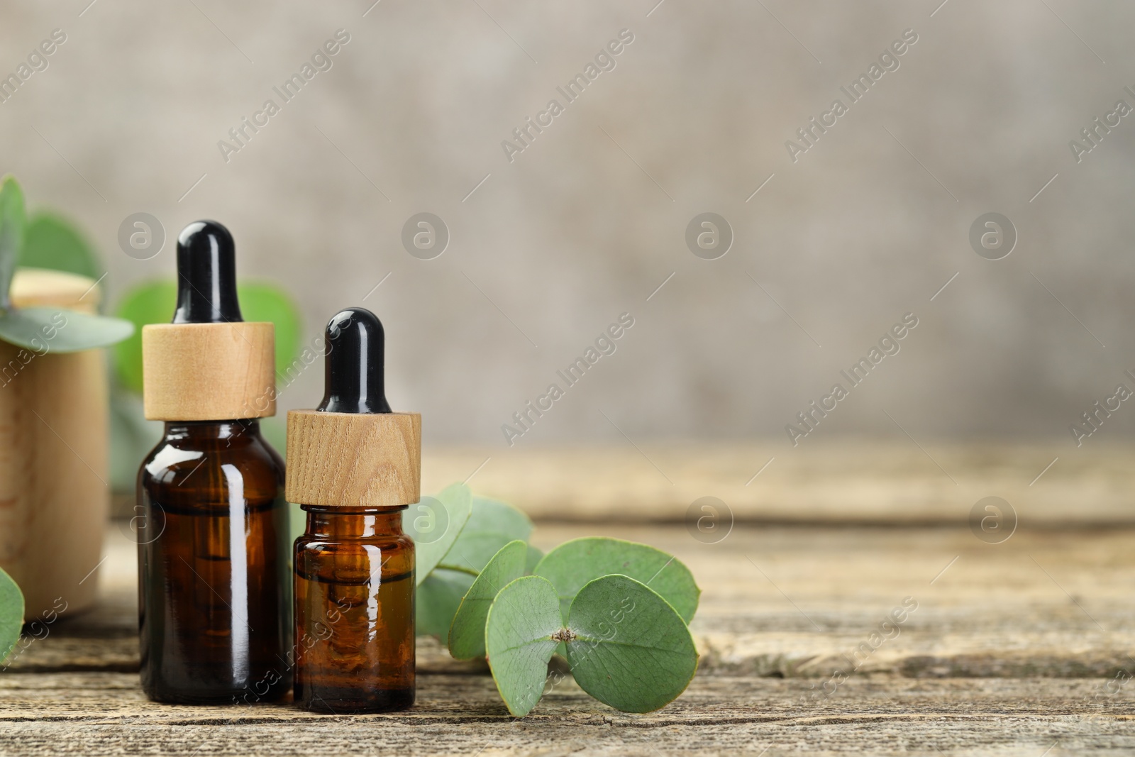 Bottles of essential oil and eucalyptus leaves on wooden table, closeup. Space for text Photo of Bottles of essential oil and eucalyptus leaves on wooden table, closeup. Space for text