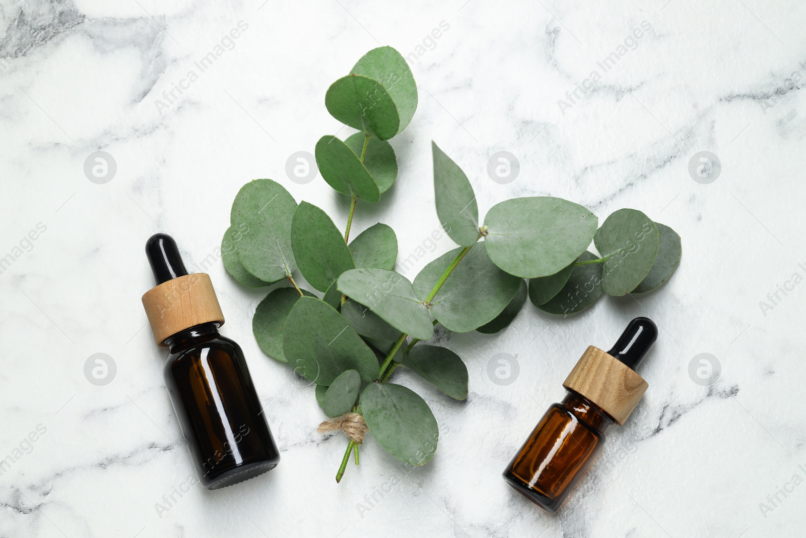 Bottles of essential oil and eucalyptus leaves on white marble table, flat lay Photo of Bottles of essential oil and eucalyptus leaves on white marble table, flat lay
