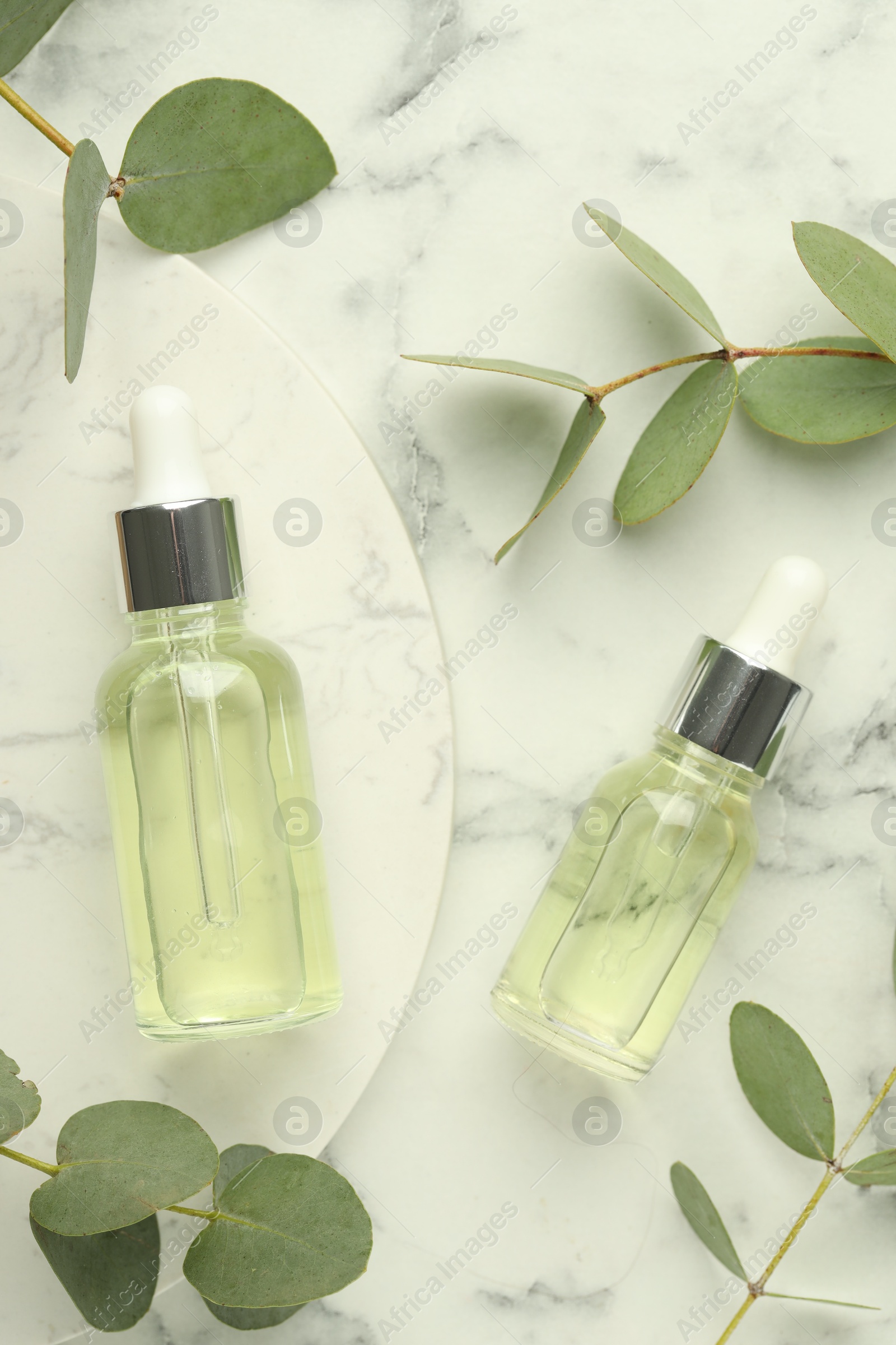 Bottles of essential oil and eucalyptus leaves on white marble table, flat lay Photo of Bottles of essential oil and eucalyptus leaves on white marble table, flat lay