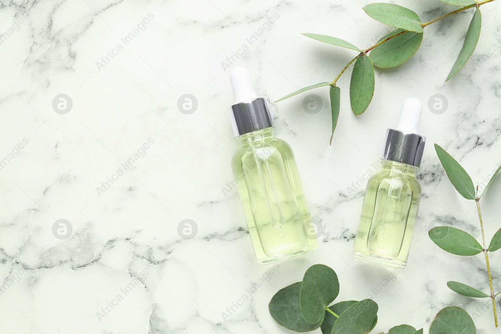 Bottles of essential oil and eucalyptus leaves on white marble table, flat lay. Space for text Photo of Bottles of essential oil and eucalyptus leaves on white marble table, flat lay. Space for text