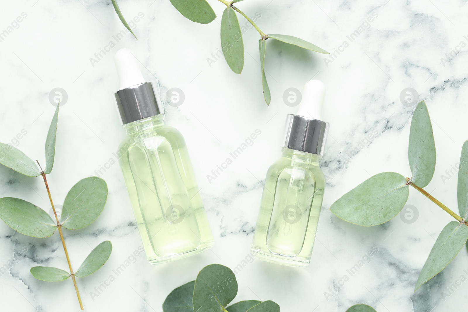 Bottles of essential oil and eucalyptus leaves on white marble table, flat lay Photo of Bottles of essential oil and eucalyptus leaves on white marble table, flat lay