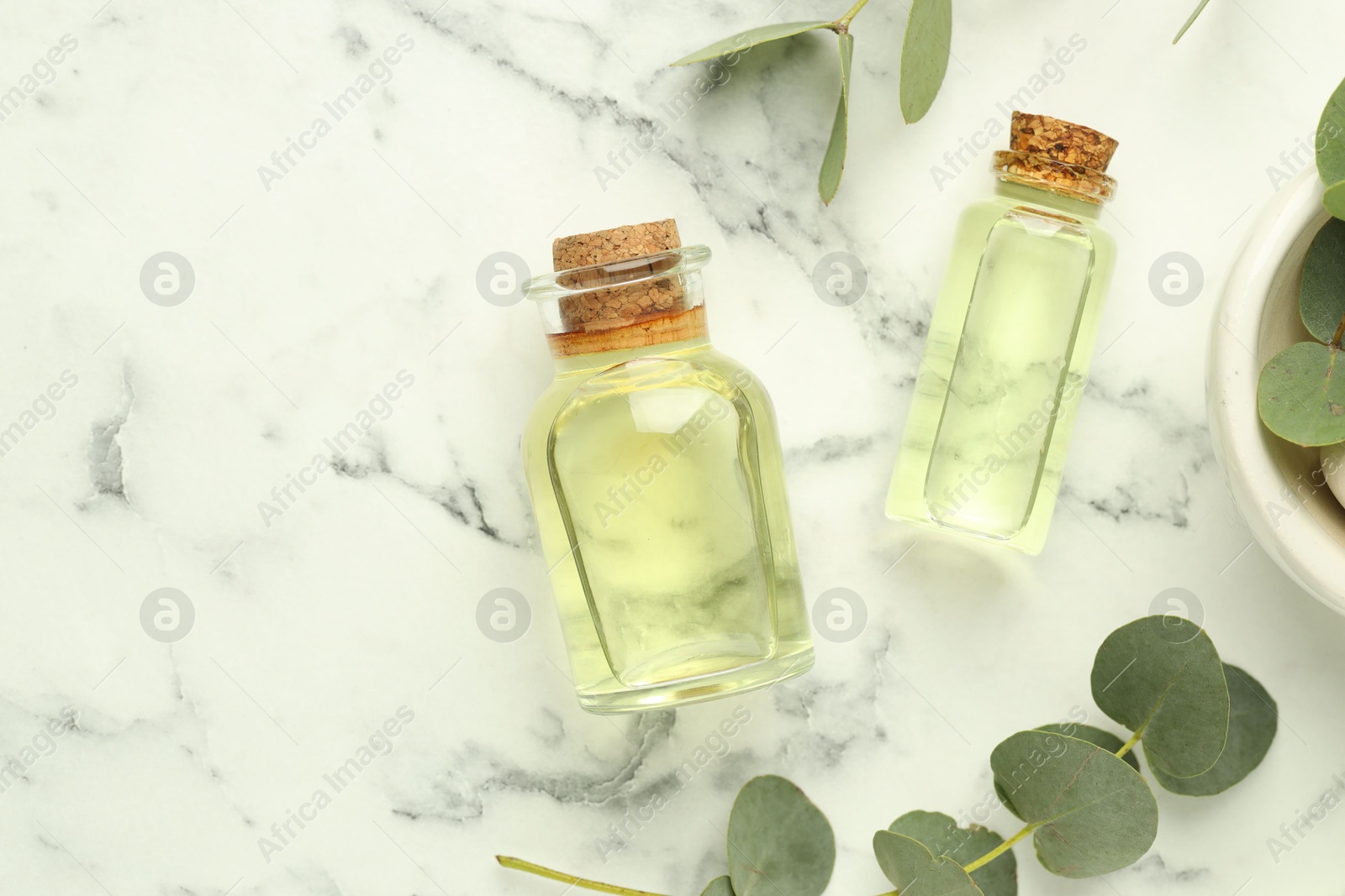 Bottles of essential oil and eucalyptus leaves on white marble table, flat lay Photo of Bottles of essential oil and eucalyptus leaves on white marble table, flat lay