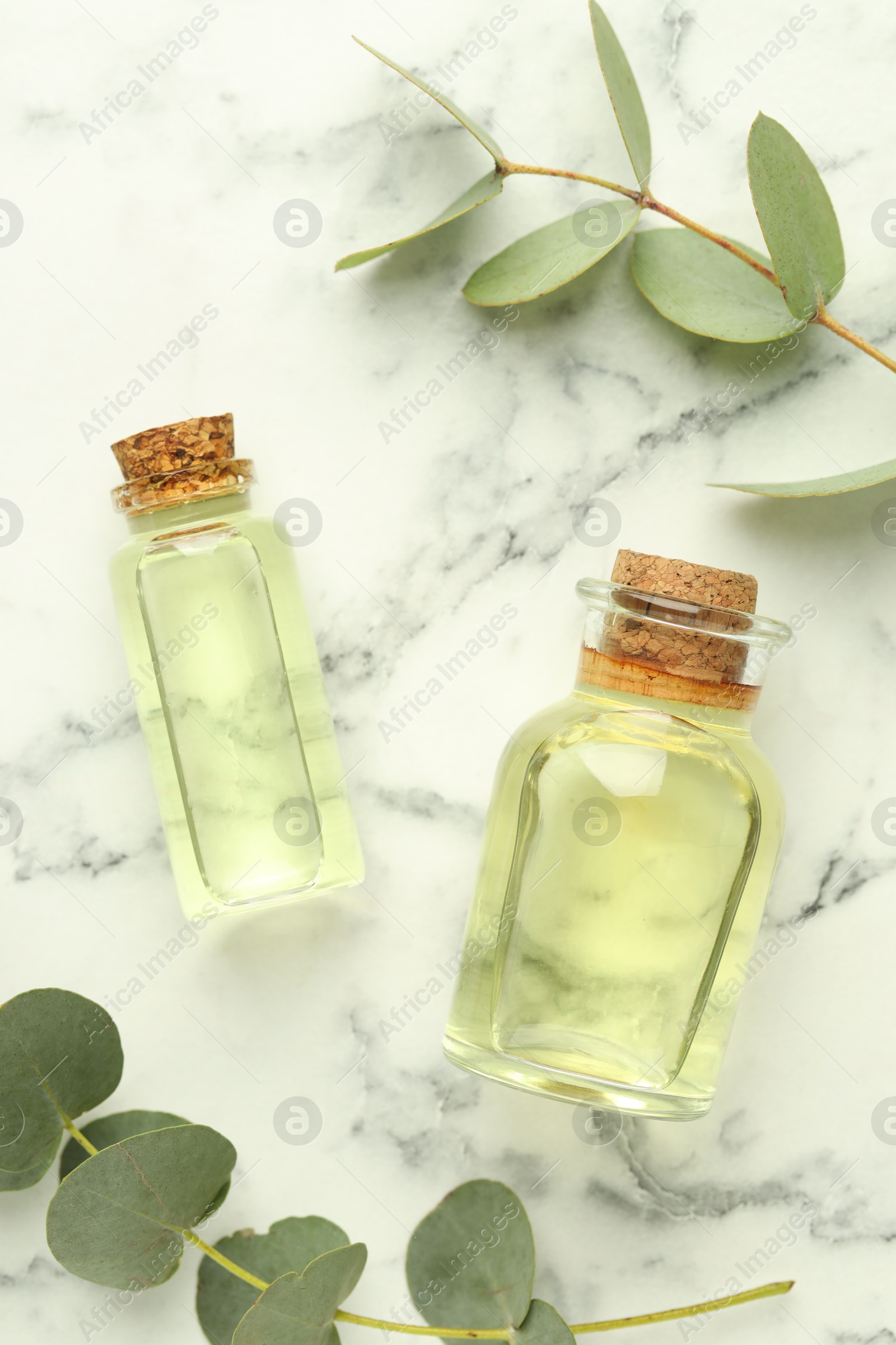 Bottles of essential oil, eucalyptus leaves, mortar and pestle on white marble table, flat lay Photo of Bottles of essential oil, eucalyptus leaves, mortar and pestle on white marble table, flat lay