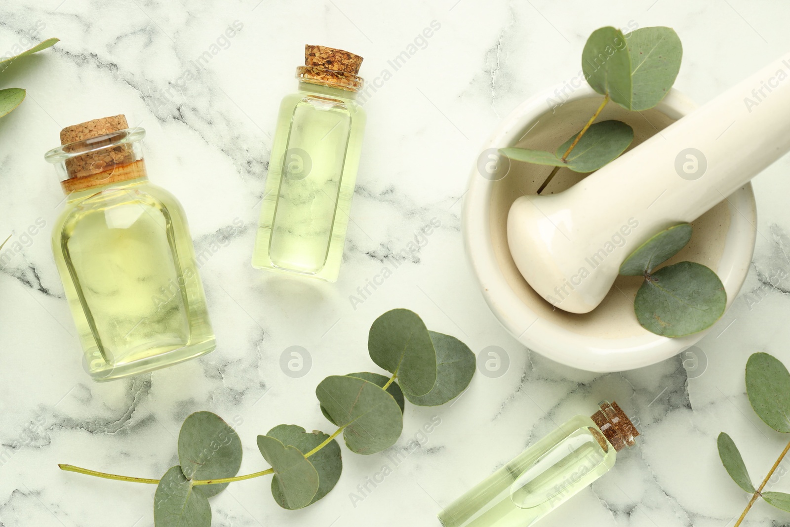 Bottles of essential oil, eucalyptus leaves, mortar and pestle on white marble table, flat lay Photo of Bottles of essential oil, eucalyptus leaves, mortar and pestle on white marble table, flat lay