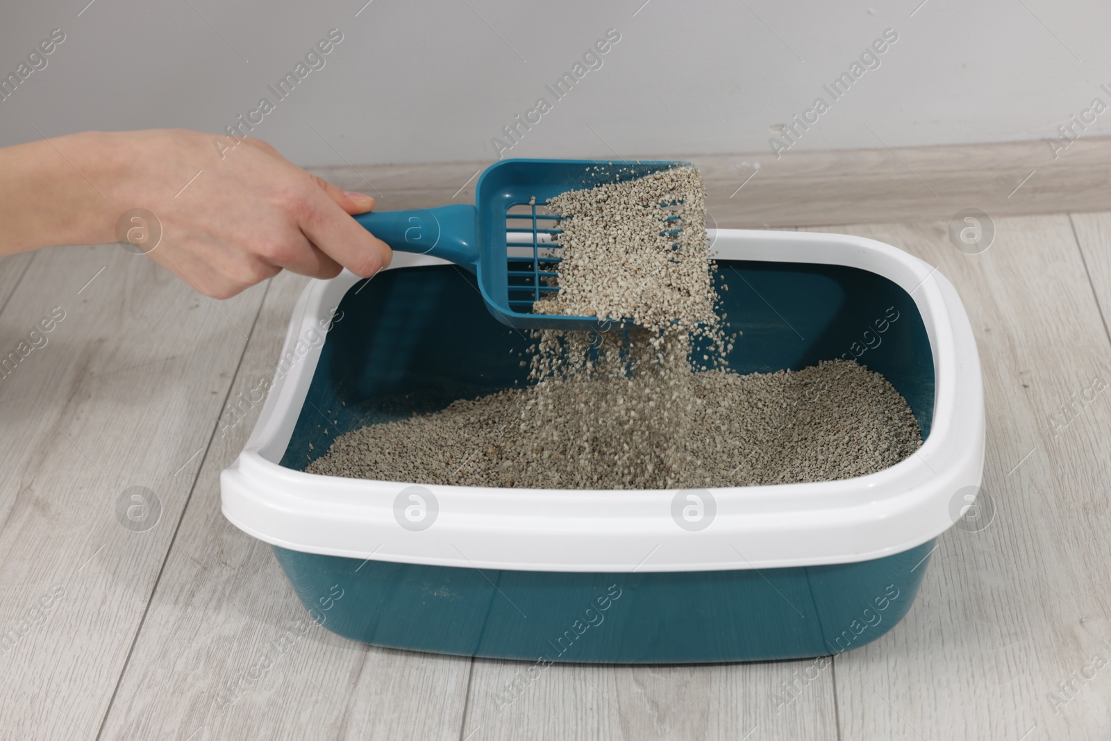 Woman cleaning cat litter tray indoors, closeup Photo of Woman cleaning cat litter tray indoors, closeup