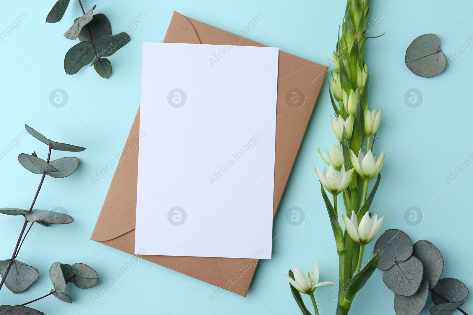 Blank greeting card, paper envelope, ornithogalum flower and eucalyptus branches on light blue background, flat lay Photo of Blank greeting card, paper envelope, ornithogalum flower and eucalyptus branches on light blue background, flat lay