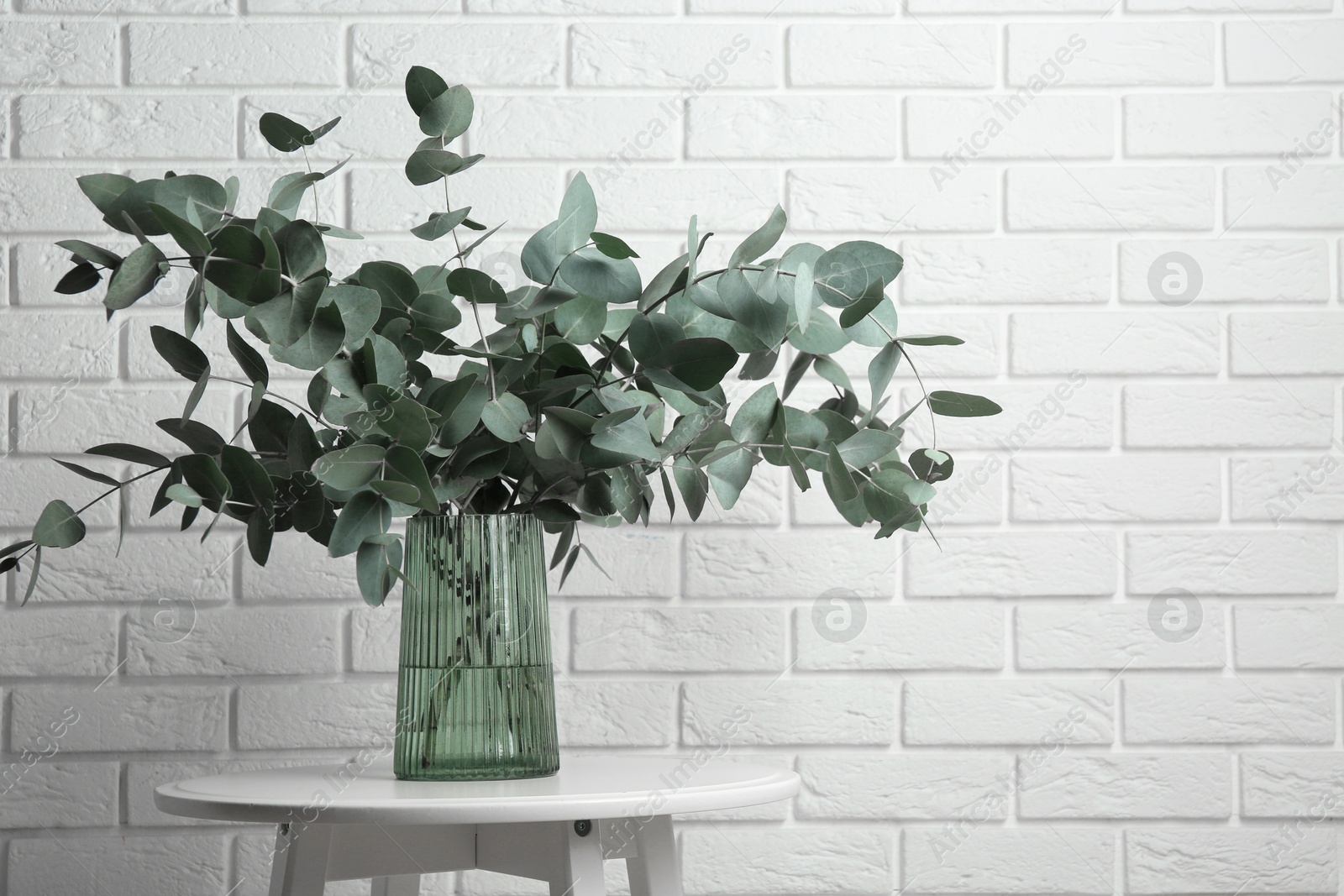 Green eucalyptus branches in vase on table near white brick wall indoors Photo of Green eucalyptus branches in vase on table near white brick wall indoors