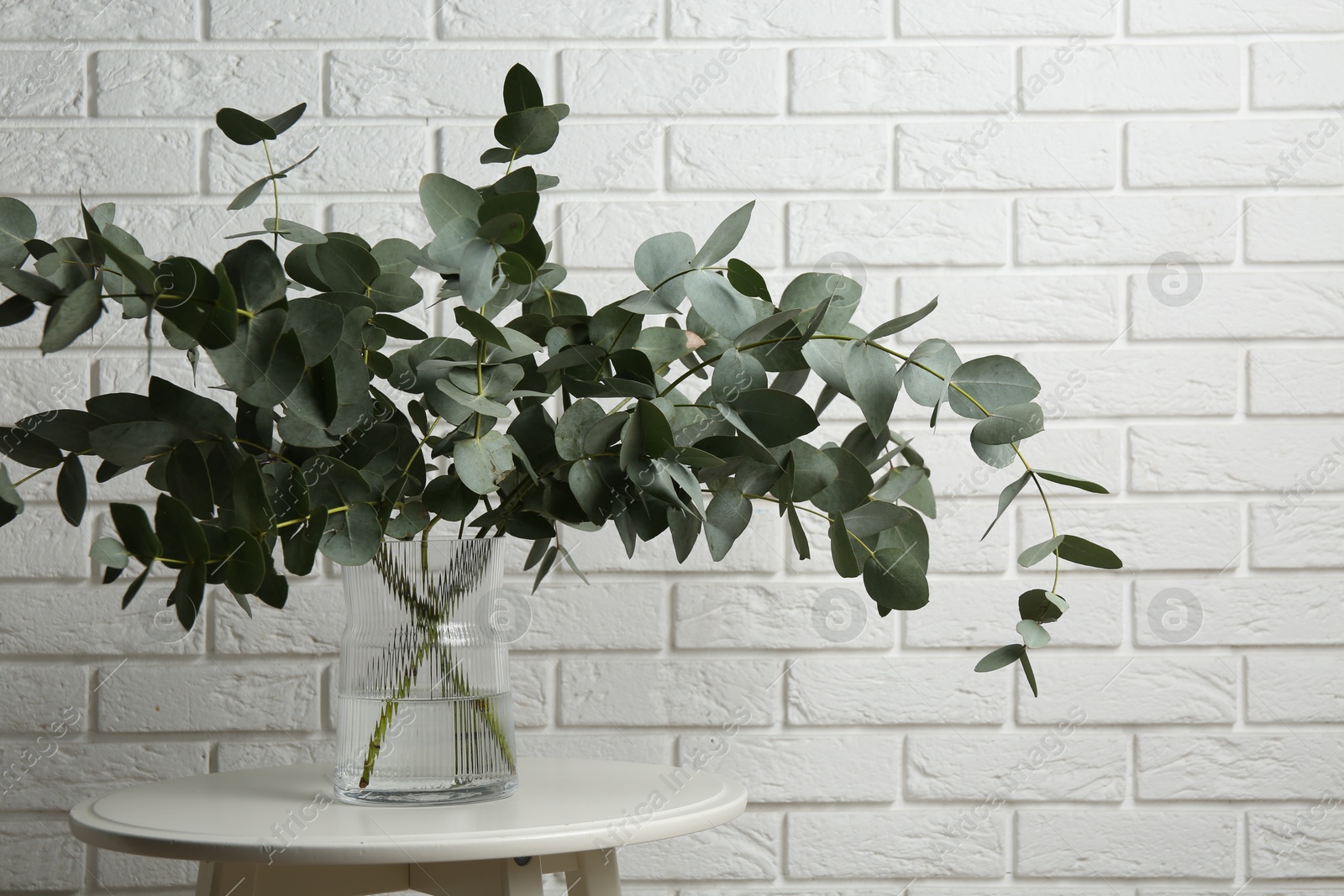Green eucalyptus branches in vase on table near white brick wall indoors Photo of Green eucalyptus branches in vase on table near white brick wall indoors