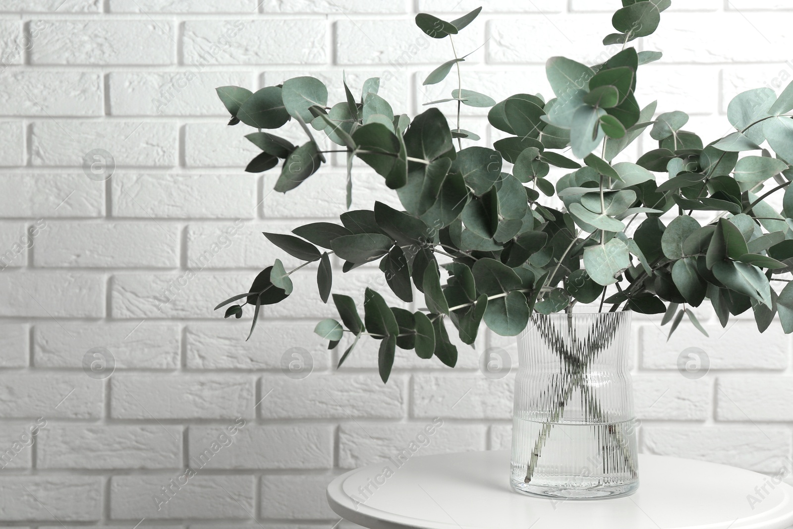 Green eucalyptus branches in vase on table near white brick wall indoors, space for text Photo of Green eucalyptus branches in vase on table near white brick wall indoors, space for text