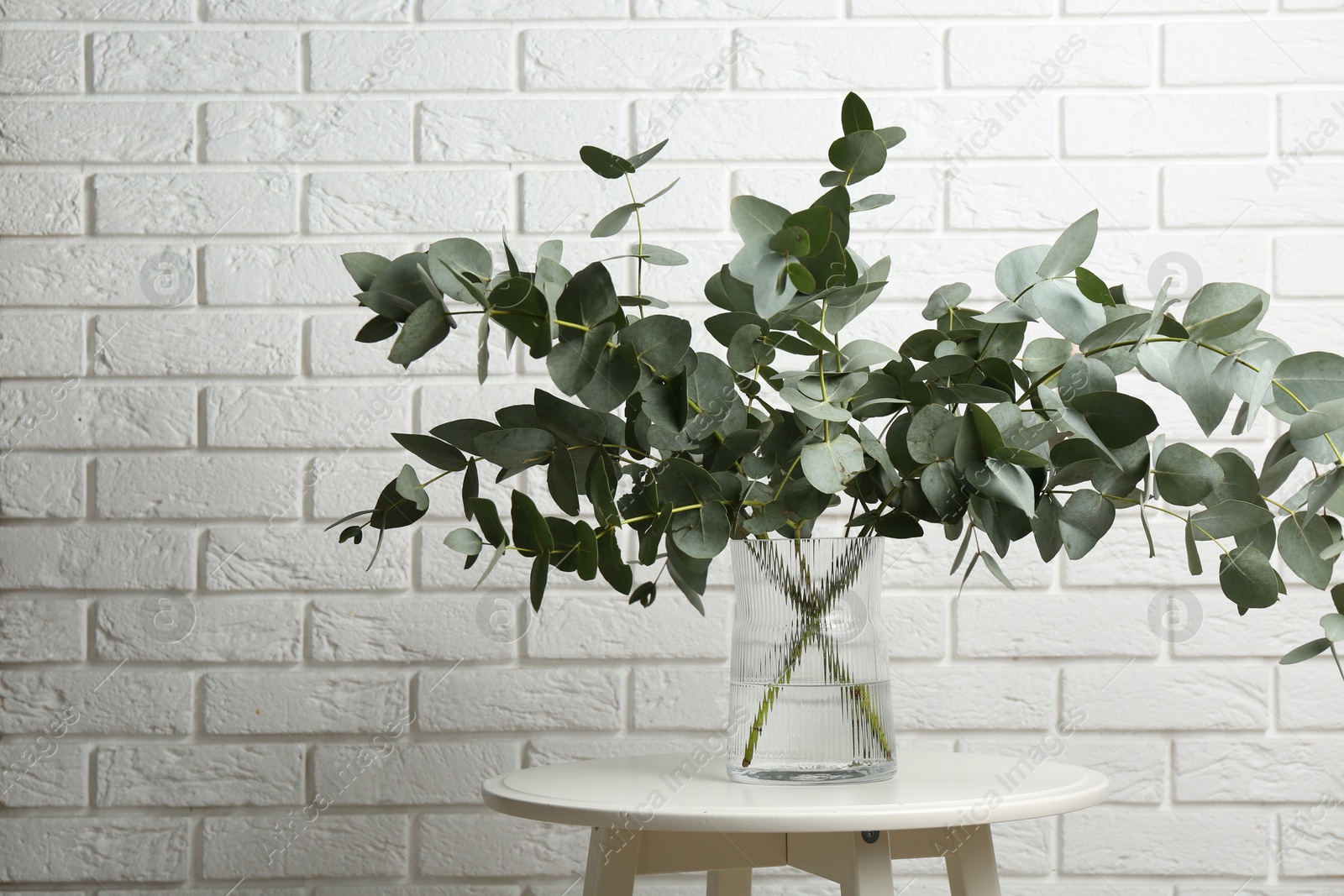 Green eucalyptus branches in vase on table near white brick wall indoors, space for text Photo of Green eucalyptus branches in vase on table near white brick wall indoors, space for text