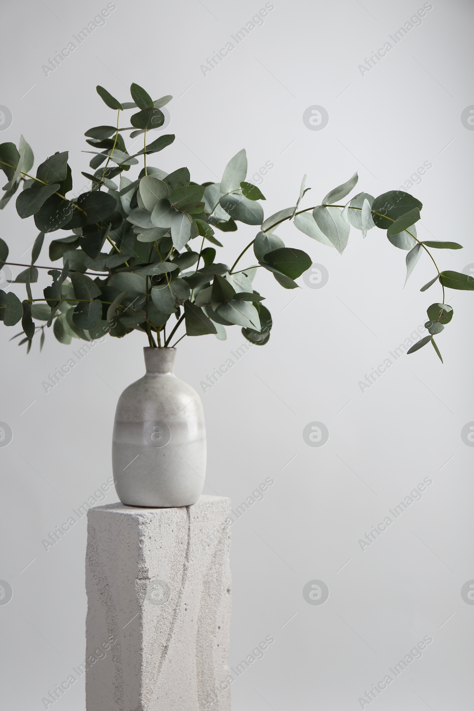 Green eucalyptus branches in vase on stone against light background Photo of Green eucalyptus branches in vase on stone against light background